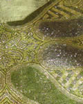 Paisley Green